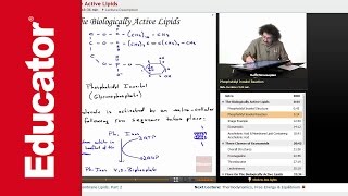 Phosphatidyl Inositol Structure and Reaction  Biochemistry Tutorial [upl. by Efren]