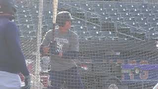 Oswaldo Cabrera Batting Practice New York Yankees INF [upl. by Ecnerual]