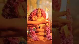 Swamiye saranan Ayyappa shortsvideo sastha [upl. by Nehepts]