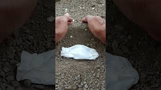 A funeral procession frog🐸🥀frog wildlife shorts viralvideo [upl. by Kennan]