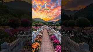 Suratul ghashiya telawat Quran telawat quran youtubeshort beautiful tilawatrelated [upl. by Yblek15]