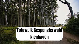 Fotowalk Gespensterwald Nienhagen [upl. by Montgomery]