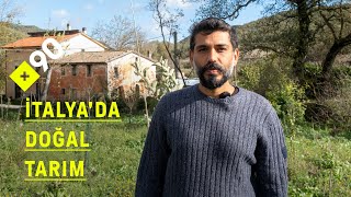 Doğal tarım quotHiçbir şey yapma tarımıquot  quotSulamaya ve yabani bitkilerle mücadeleye gerek yokquot [upl. by Naesal]