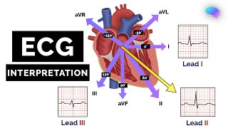 How to Read an ECG  ECG Interpretation  EKG  OSCE Guide  UKMLA  CPSA [upl. by Einaej417]