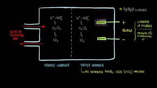 Severinghaus pCO2 Electrode  Bioinstrumentation Design [upl. by Sanbo]