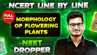 Morphology of Flowering Plants FULL CHAPTER  NCERT Class 11th Botany  Chapter 4  Yakeen NEET [upl. by Siurtemed]