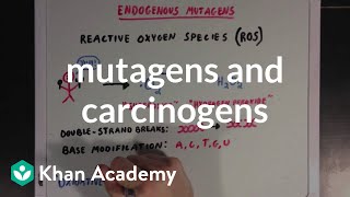 Mutagens and carcinogens  Biomolecules  MCAT  Khan Academy [upl. by Griffiths]