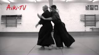 Yoseikan Aikijujutsu demonstration by Hugo Chauveau [upl. by Atima228]