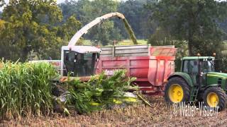 Ensilage de Sorgho fourrager avec une Ensileuse Claas Jaguar 890 [upl. by Lledner799]