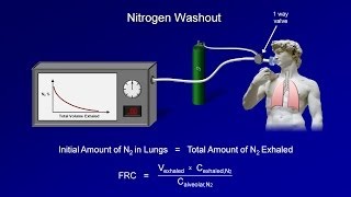 Pulmonary Function Tests PFT Lesson 3  Lung Volumes [upl. by Otero93]