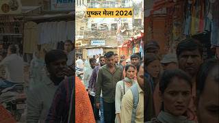 पुष्कर मेला 2024 Pushkar Mela aitihasik Mela [upl. by Altman358]