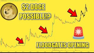 ⚠️I FOUND SOMETHING🚨MUST WATCH🚨 2 DOGE Coin COMING The TRUTH About 1 Dogecoin DOGE Update Today [upl. by Sinaj]