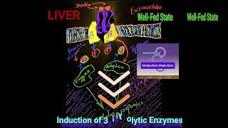 Regulation of Glycolysis amp Gluconeogenesis A Summary Metabolism Made Easy [upl. by Marlow]