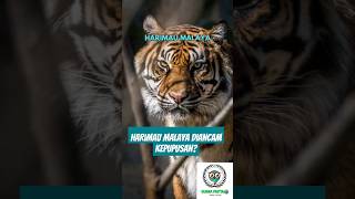 4 Haiwan terancam kepupusan faktaunik facts wow animals faktamenarik endangeredspecies facts [upl. by Neelram774]