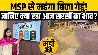 Wheat Price Today मंडी में MSP से महंगे बिक रहे हैं गेहूं जानिए क्या रहा सरसों का दाम Kisan Tak [upl. by Rehc]