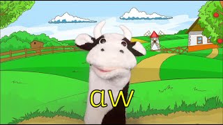 The aw song  Moo Cow Phonics [upl. by Burn981]