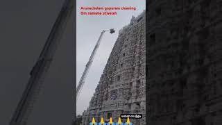 Arunachalam gopuram cleaning [upl. by Enelec]