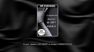 Cinquante Nuances de Grey Parodie  LIVRE AUDIO 16 [upl. by Hairehcaz457]