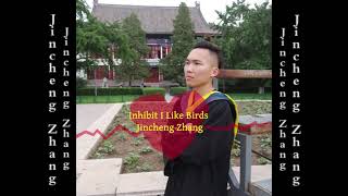 Jincheng Zhang  Instructive I Like Birds Official Audio [upl. by Acired59]