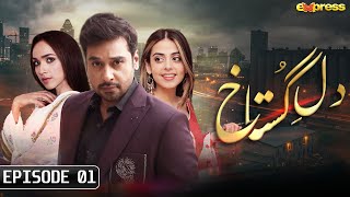 Dil e Gustakh  Episode 1  Faysal Quraishi  Yashma Gill  Faryal Mehmood  Ali Ansari  Express TV [upl. by Krongold495]