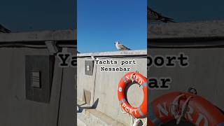 Nessebar  Yachts port travel shorts bulgaria [upl. by Aneeled]