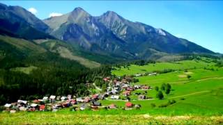 Qrizantemebi ქრიზანთემები [upl. by Kcirdde]