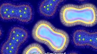 Animation of Antimicrobial Resistance [upl. by Humpage]