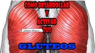 ACTIVA Y DESARROLLA TUS GLÚTEOS TIPS Y EJERCICIOS PARA EL FUTBOLISTA [upl. by Eneloj]