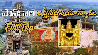 Mangalagiri Panakala Lakshmi Narasimha Swamy Templepanakala swamy temple vlog triptraveller [upl. by Edalb]