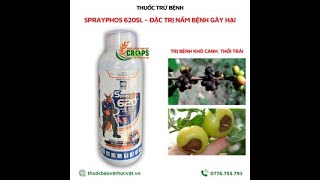 SPRAYPHOS 620SL – THUỐC TRỪ BỆNH0776755793thuốcbảovệthựcvậtvn nứtthânxìmủ [upl. by Relyks]