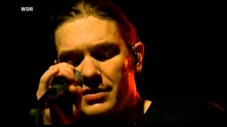 Shinedown Simple Man Live [upl. by Eninahs69]