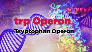 trp Operon  Tryptophan Operon [upl. by Anastas]