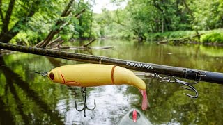 Whopper Plopper 130  What Will EAT IT  Michigan River Fishing [upl. by Eedahs33]