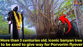 RIP 😢More than 3 centuries old iconic banyan tree to be axed to give way for Porvorim flyover [upl. by Avehstab]