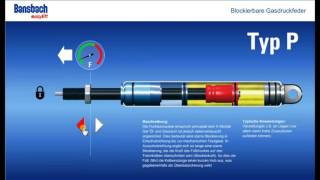 Blokkeerbare gasveren Type P [upl. by Haceber]