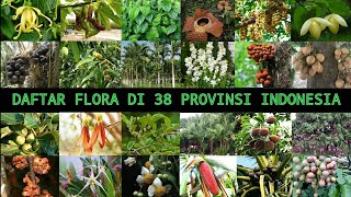 DAFTAR FLORA DI 38 PROVINSI INDONESIA [upl. by Ylehsa]