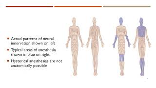 Somatic Disorders Differential Part II with Dr Terri MessmanMoore [upl. by Toby297]