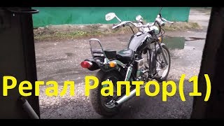 Regal Raptor DD50E 1  обзор после покупки [upl. by Briana]