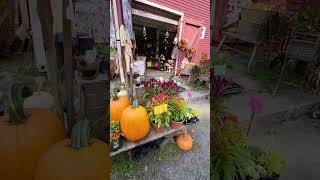 Fall Day  Sudbury Massachusetts October 4 2024 [upl. by Aleel]