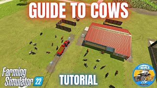 GUIDE TO COWS  Farming Simulator 22 [upl. by Teemus763]