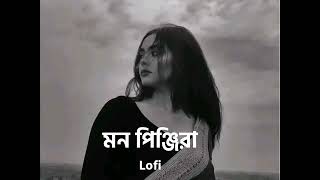 Mon Pinjira মন পিঞ্জিরা ।। Bengali lofi lofimusic lofiandreverb। [upl. by Tayyebeb64]