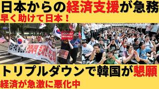 【ゆっくり解説】日本助けて！大幅な経済成長をしていると自慢してるのに財布はスカスカｗトリプルダウンで日本に経済を要請 [upl. by Eetsud805]