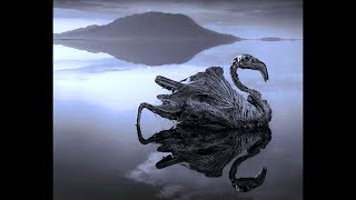 Deadly Lake that turns Animals to Stones  Lake Natron  A Mystery [upl. by Babs38]