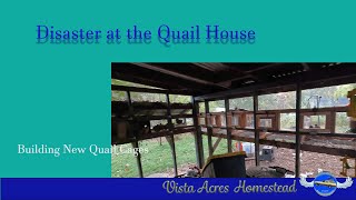 We had to take action These Rats are out of control We built new Quail Cages to protect EP260 [upl. by Alene679]