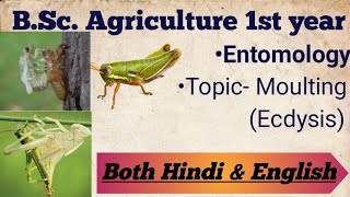 Moulting Ecdysis  Entomology  Explained in both hindi amp English [upl. by Gaylor]