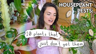 Plants That Dont Get Pests 🪳 10 Houseplants That Ive Never Found Pests On [upl. by Ynej]