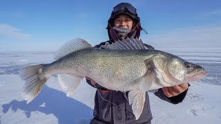 Ice Fishing The Walleye Capital of The World I CAUGHT A GIANT [upl. by Ettenot]