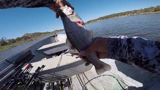 Lake Wohlford BassTroutCrappie Day [upl. by Evad]