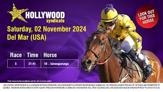 Hollywood Syndicate Horses To Look Out For  02 and 03 November 2024 [upl. by Geanine]