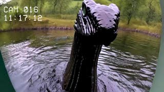 Top 5 MOST TERRIFYING Loch Ness Monster Encounters 2024 [upl. by Ladnar782]